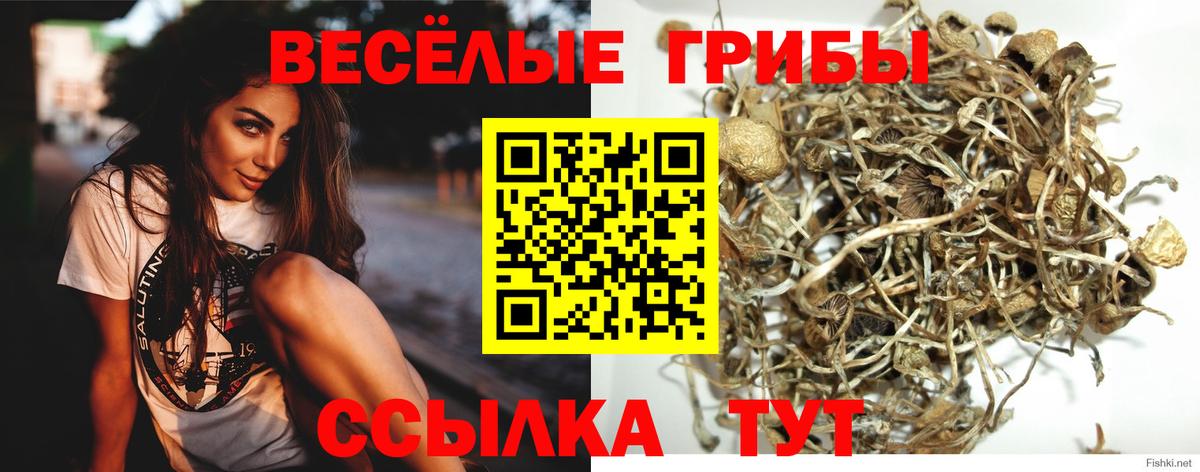 Псилоцибиновые грибы MAGIC MUSHROOMS Михайловск